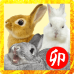 BIGうさぎ大集合！あけおめ年賀スタンプ