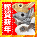 うさぎ達のお正月年賀メッセージスタンプ