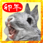 BIG年賀状☆卯年のうさぎスタンプ☆令和5年