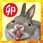 飛び出す!!卯が主役のあけおめ年賀スタンプ