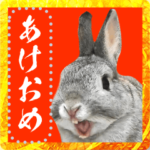 あけおめメッセージスタンプ！お正月うさぎ