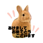 干支 兎 卯年 2023