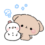 トイプードルのチョコちん。