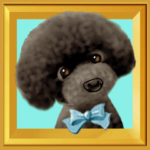 動く！ペットたち