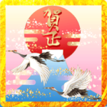 飛び出す! 豪華絢爛 大人の華やか年賀状!