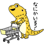 フトアゴのしゃくれ君と　愉快なチワワ兄弟