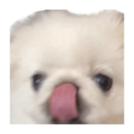 すずたろすのスタンプ