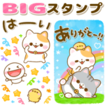 ねこねこにゃんこ♡大人の気遣い