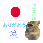 かわいい♡猫♡応援団