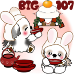 シーズー犬 107『お正月に便利』