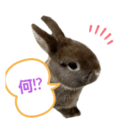 〜日常会話♡*〜