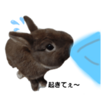 〜日常会話2♡*〜