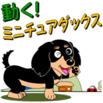 動く！ミニチュアダックス「敬語」