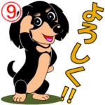 ミニチュアダックスの日常挨拶９