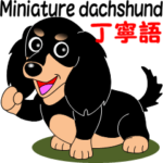 ミニチュアダックスの丁寧語