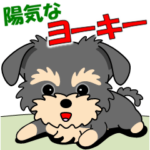 陽気な「ヨーキー」