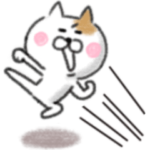 毎日ゆるねこ ver.4 テンション高め