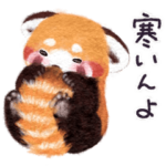 レッサーパンダのポへ