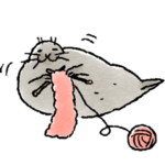 冬だよ！アザラシ