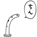 しゃべるチンアナゴ
