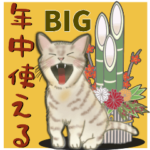 ❤️年中使える❤️モフ猫たち❤️Bigサイズ