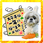 シーズー犬てんぽ 2023うさぎスタンプ