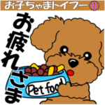 動く！ズームインお子ちゃまトイプー⑪