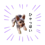 りおん様のスタンプ