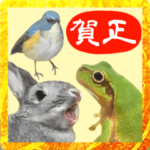 BIG年賀状！うさぎと縁起の良い生き物たち