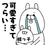 姪っ子（めいっこ）が可愛すぎてつらい