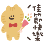 About my cat health 5