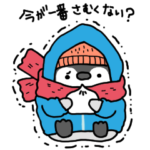 コタローの冬から春の過ごし方・イベント