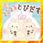 飛び出す♡もふリチーうさちゃん2年末年始