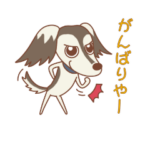 サルーキ『関西弁』