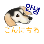 日常会話で韓国語を話すサルーキ