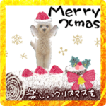 トイプードルるんるん✳︎年末年始