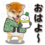 かわいい犬たち冬♡敬語おおめの冬♡柴犬