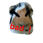 guinea pig a go! go! 3