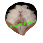 ウサビッチーズ