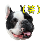 ぐうたらジロさん