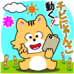 動く！チビにゃんこ「春」