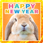 うさぎ写真BIGスタンプ♪年末年始2023