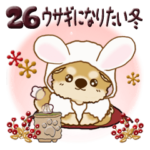 ちゃちゃ丸 26『ウサギになりたい冬』