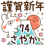 専用74<正月2022年ねこうさ>