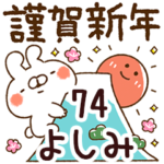 専用74<正月2022年ねこうさ>