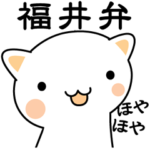 福井のねこさん。