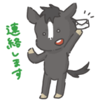 まいにちの、お馬さん