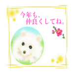 年末年始に！！