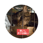 「～すべき」が口癖の奴ろくな努力してない