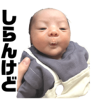 むー様のスタンプ